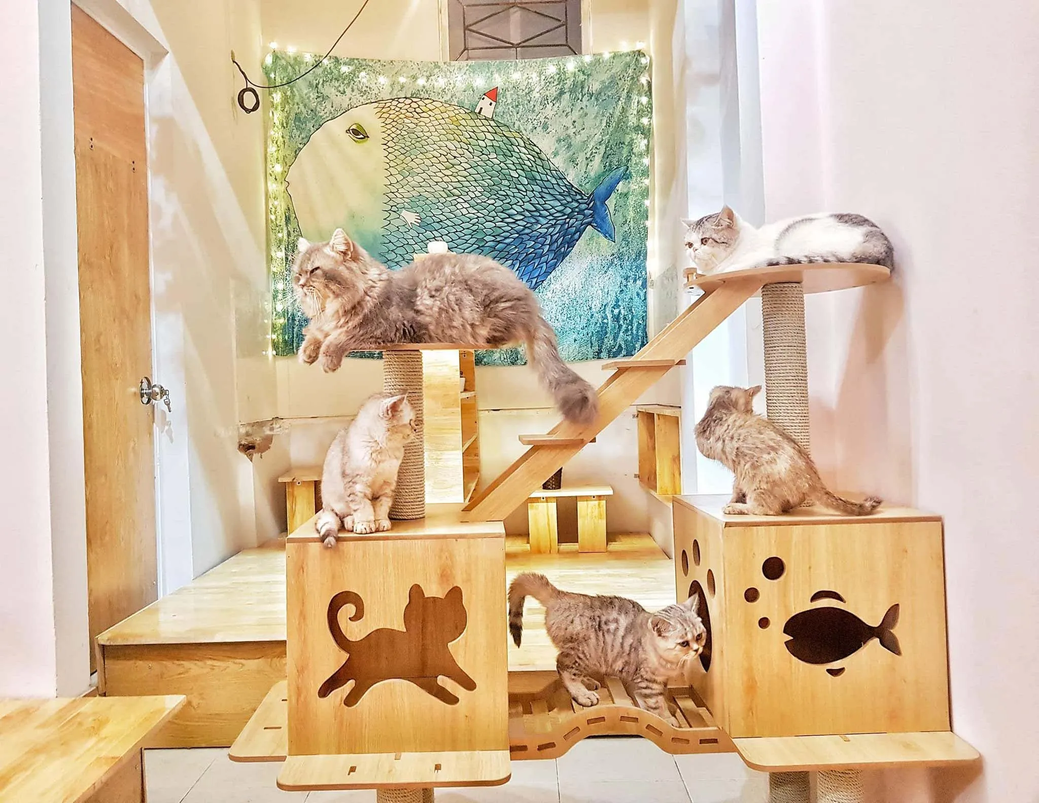 Top những địa chỉ Cafe Chó Mèo Đống Đa Siêu Đáng Yêu không thể bỏ lỡ Top những địa chỉ Cafe Chó Mèo Đống Đa Siêu Đáng Yêu không thể bỏ lỡ