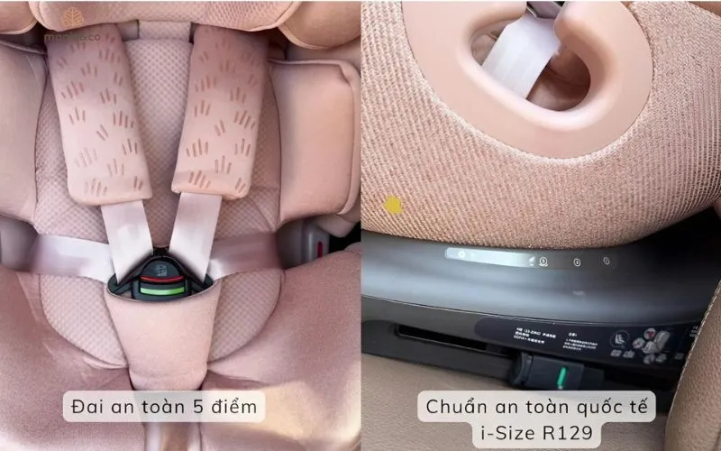 Hệ thống dây đai 5 điểm và phanh an toàn là những chi tiết không thể bỏ qua khi kiểm tra xe