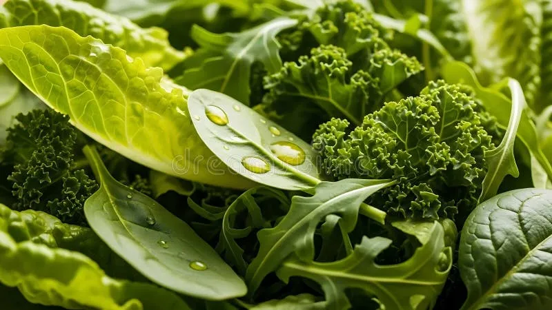 fresh-green-leafy-vegetables-water-drops-close-up-leaves-428253071 Công nghệ bảo quản hiện đại giúp rau củ luôn giữ được độ tươi ngon tự nhiên