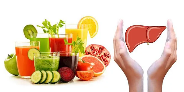 Các hoạt chất trong thảo mộc giúp bảo vệ và tái tạo tế bào gan hiệu quả