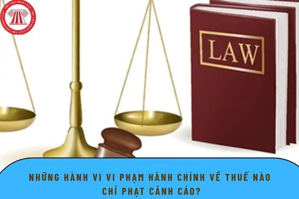 Cần lưu ý các mốc thời gian để tránh bị xử phạt thuế