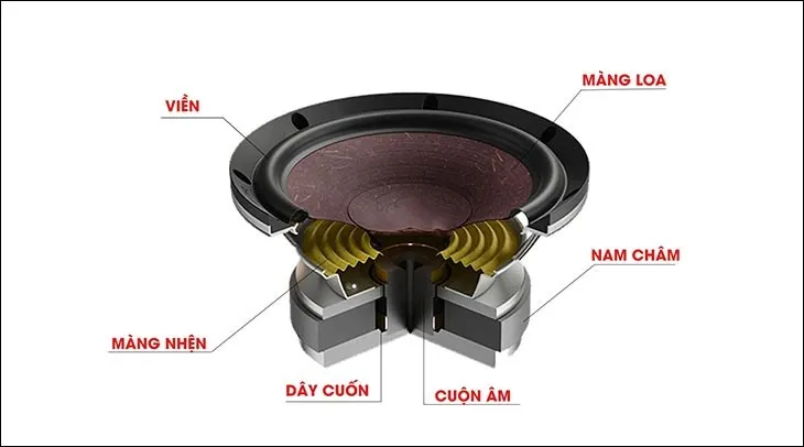 Công nghệ màng loa tiên tiến giúp tái tạo âm thanh chân thực và mạnh mẽ