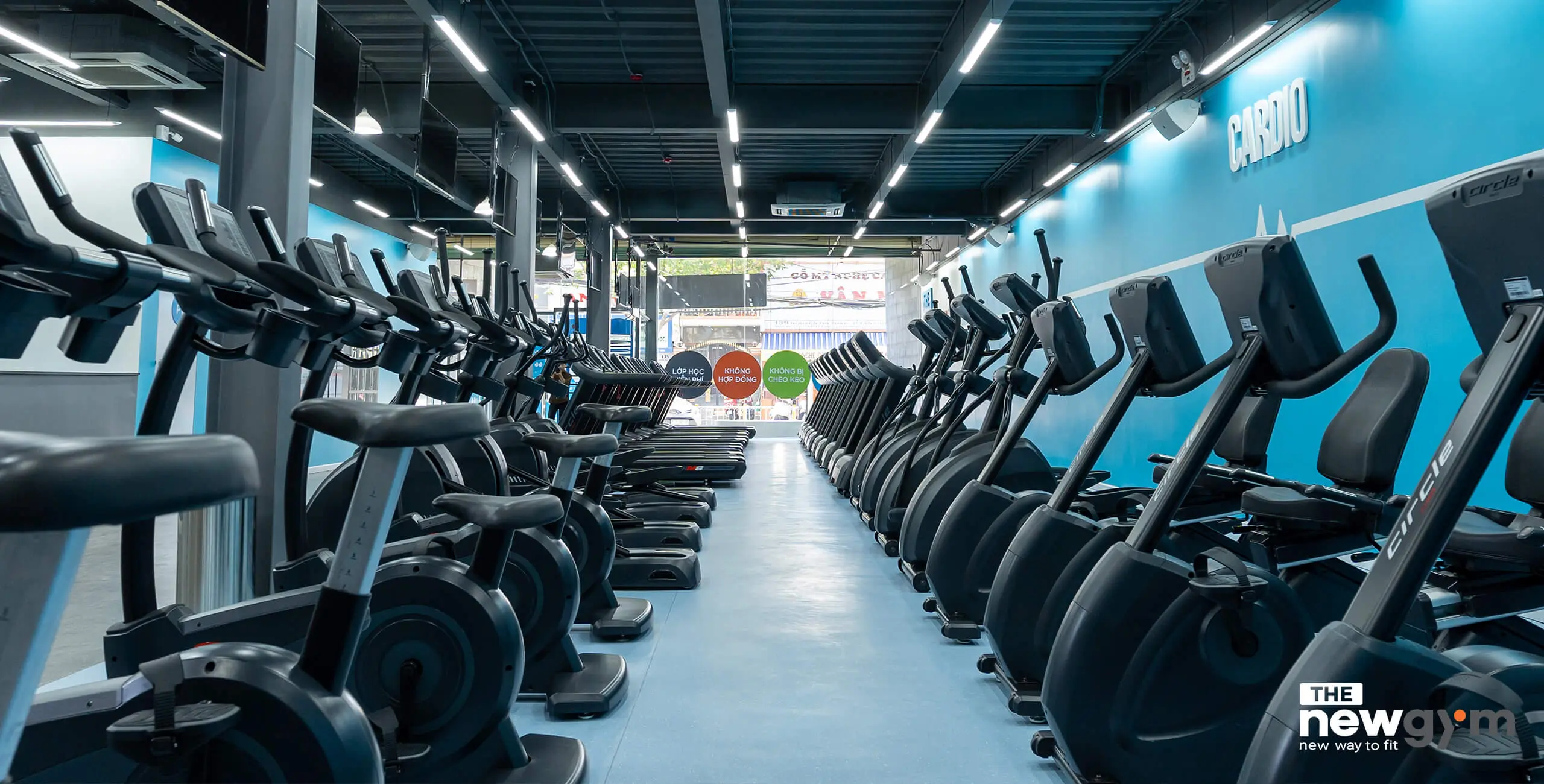 khong-gian-phong-tap-the-new-gym-jpg Trang thiết bị hiện đại đáp ứng đầy đủ lộ trình tập luyện của hội viên