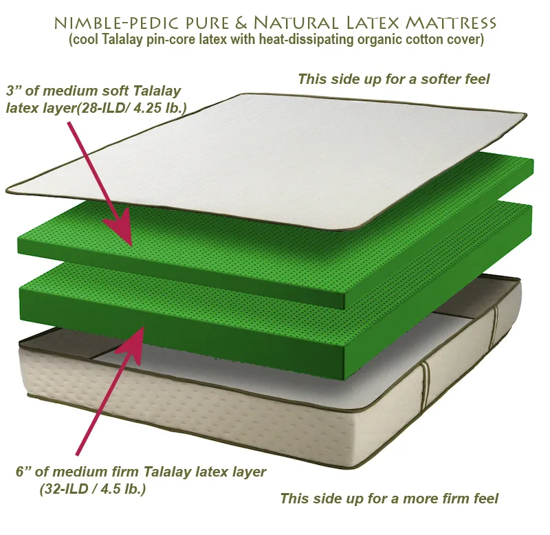 latex-layer-schematic Cấu trúc đặc biệt của đệm cao su thiên nhiên giúp nâng đỡ cột sống tối ưu
