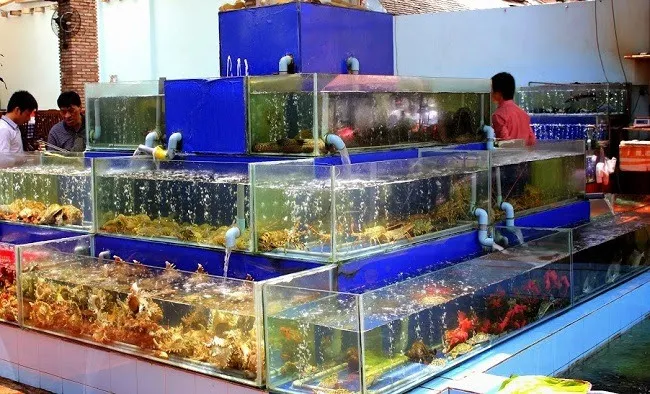 Hệ thống bể chứa hải sản hiện đại đảm bảo độ tươi sống tuyệt đối