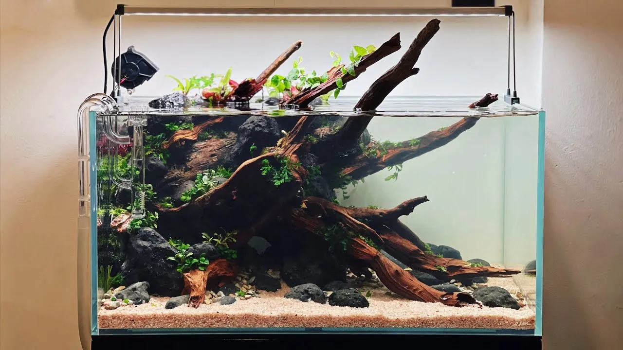 Quá trình setup hardscape đòi hỏi sự tỉ mỉ và tư duy thẩm mỹ cao
