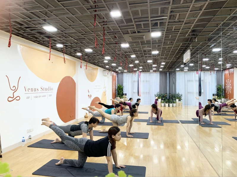 Top Những Địa Chỉ Tập Yoga Đống Đa Giá Tốt Nhất Và Uy Tín Top Những Địa Chỉ Tập Yoga Đống Đa Giá Tốt Nhất Và Uy Tín