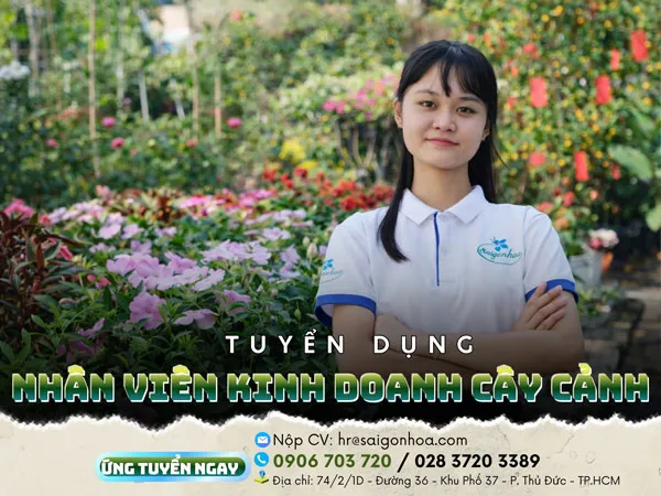Dịch vụ tư vấn chuyên nghiệp là yếu tố then chốt để chọn tiệm cây uy tín