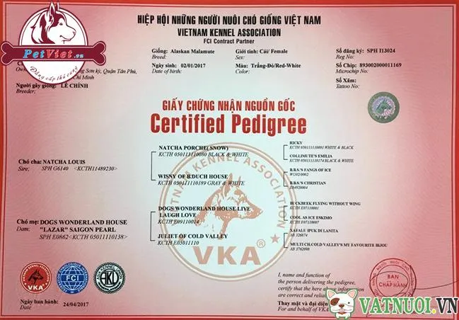 vka-khai-sinh-cho-cho-1 Hồ sơ sức khỏe minh bạch là minh chứng cho chất lượng của cửa hàng